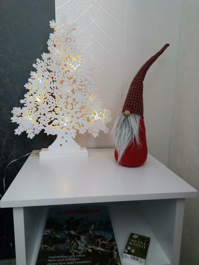 Apartment Neitamo44 Ivalo Luaran gambar